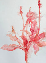 Load image into Gallery viewer, Botanical Series #1
