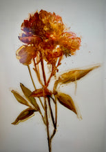 Load image into Gallery viewer, Botanical Series #1
