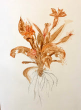 Load image into Gallery viewer, Botanical Series #1
