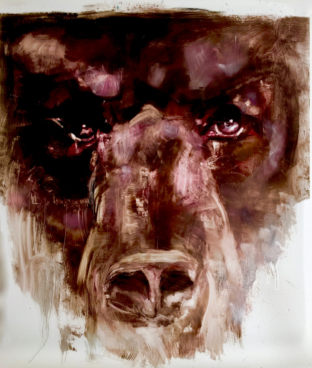 The Bears Series #2