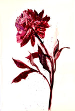 Load image into Gallery viewer, Botanical Series #1
